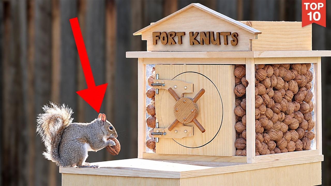 Backyard Squirrel Maze 2.0- The Walnut Heist