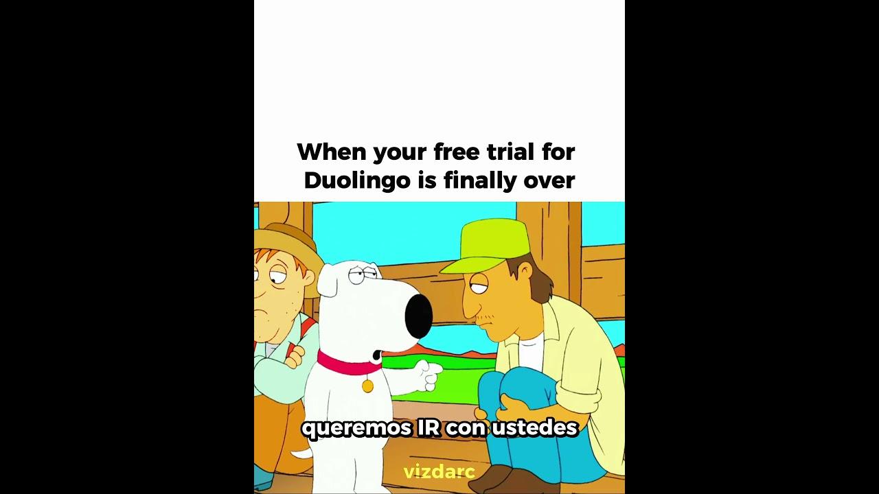 Hola 🌮