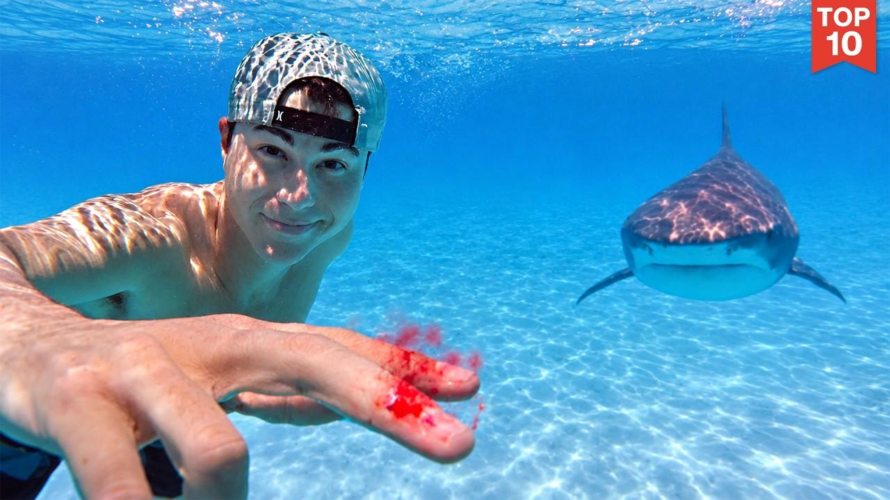 Testing if Sharks Can Smell a Drop of Blood