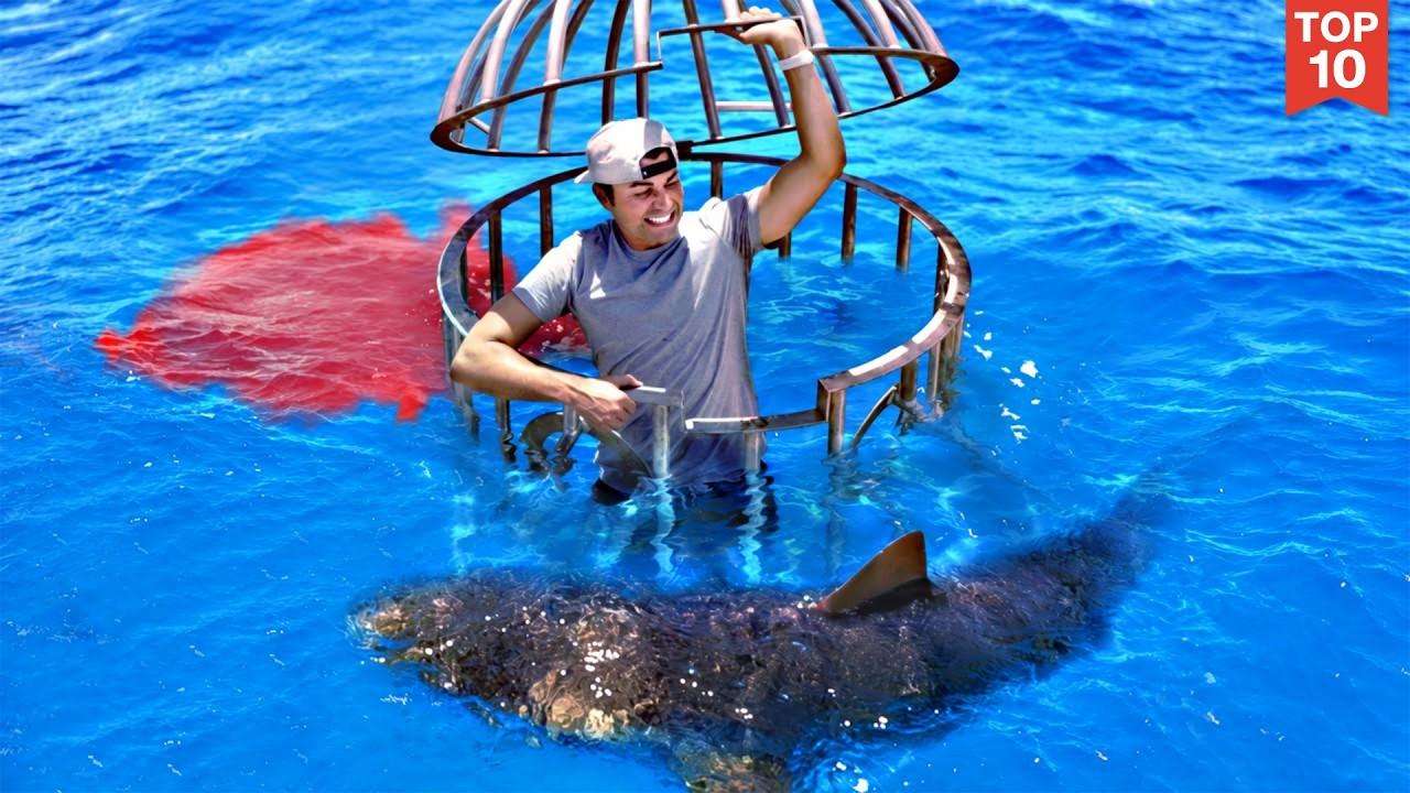 Shark Attack Test- Human Blood vs. Fish Blood